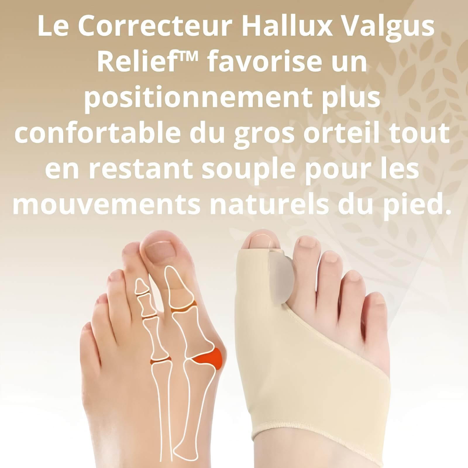 Correcteur Hallux Valgus